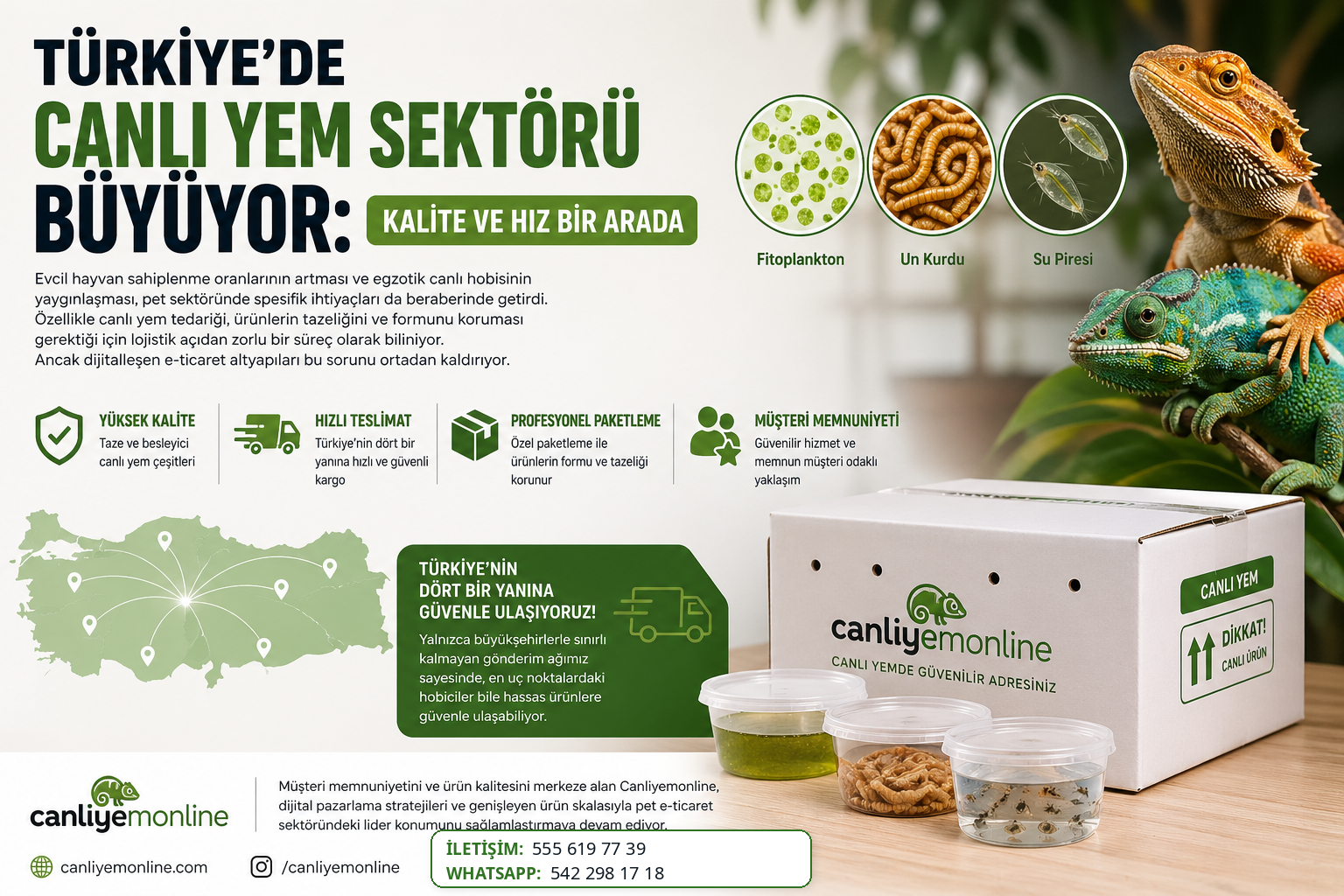 Un kurdu, Tenebrio molitor, sürüngen yemi, egzotik hayvan beslenmesi, canlı yem siparişi, protein kaynağı.