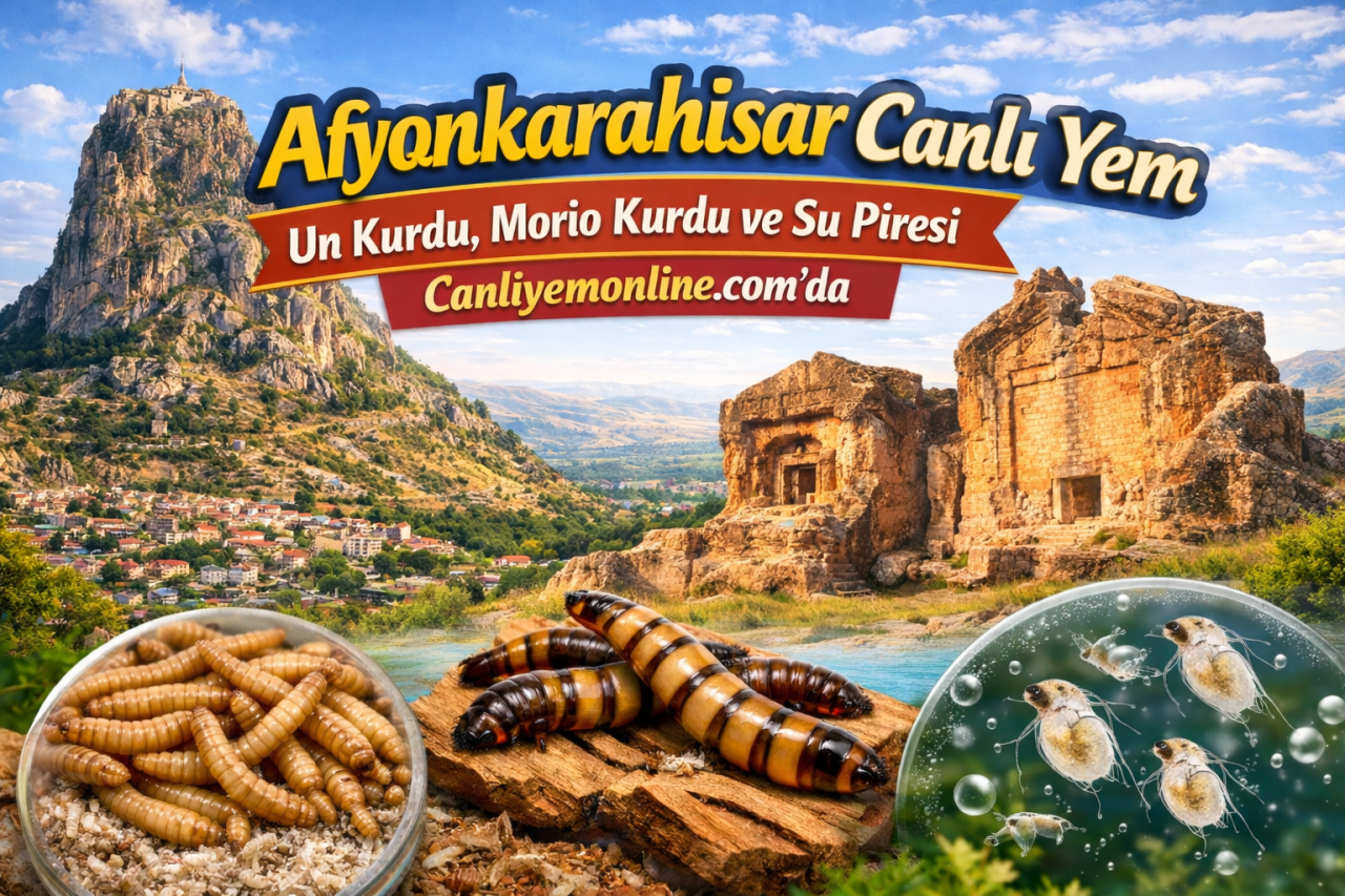 Afyonkarahisar Canlı Yem