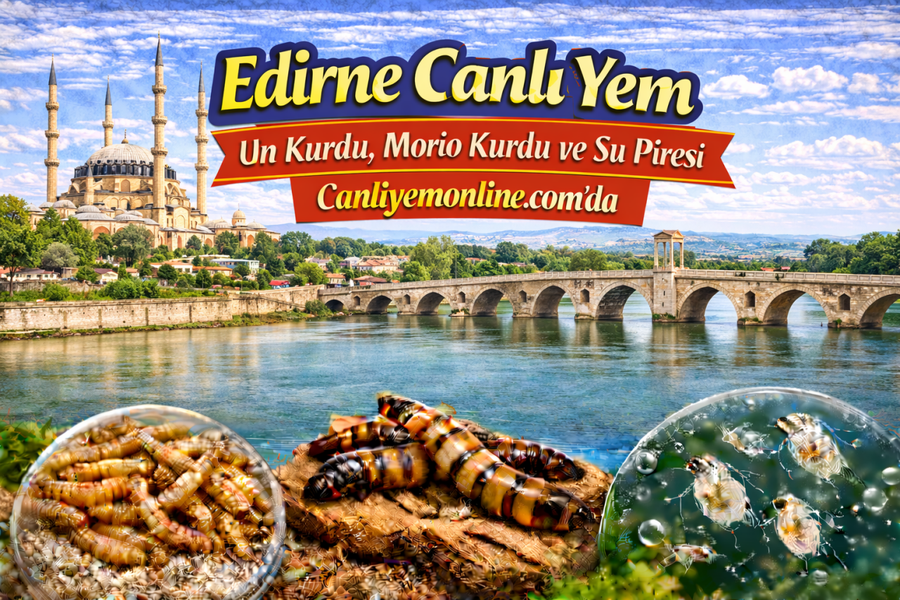 Canliyemonline.com’da hem klasik canlı yemler hem de özellikle akvaryumcuların sık aradığı kurt kültürleri bulunur: Canlı Un Kurdu, Morio Kurdu, Su Piresi, Mikro Kurt Kültürü, Grindal Kurt Kültürü ve Sirke Kurdu.