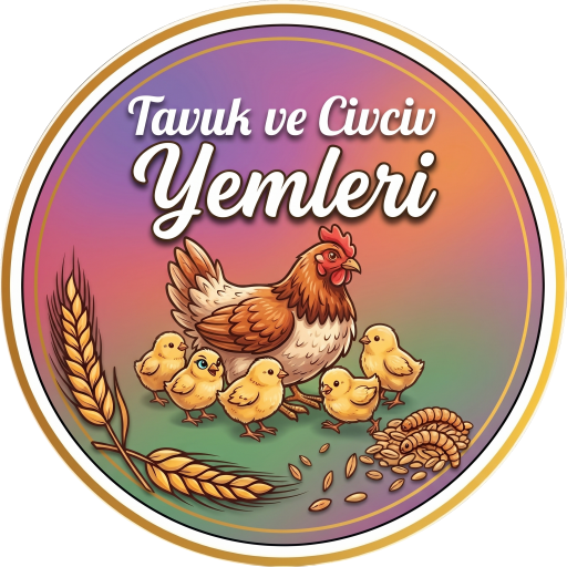 Tavuk Yemleri