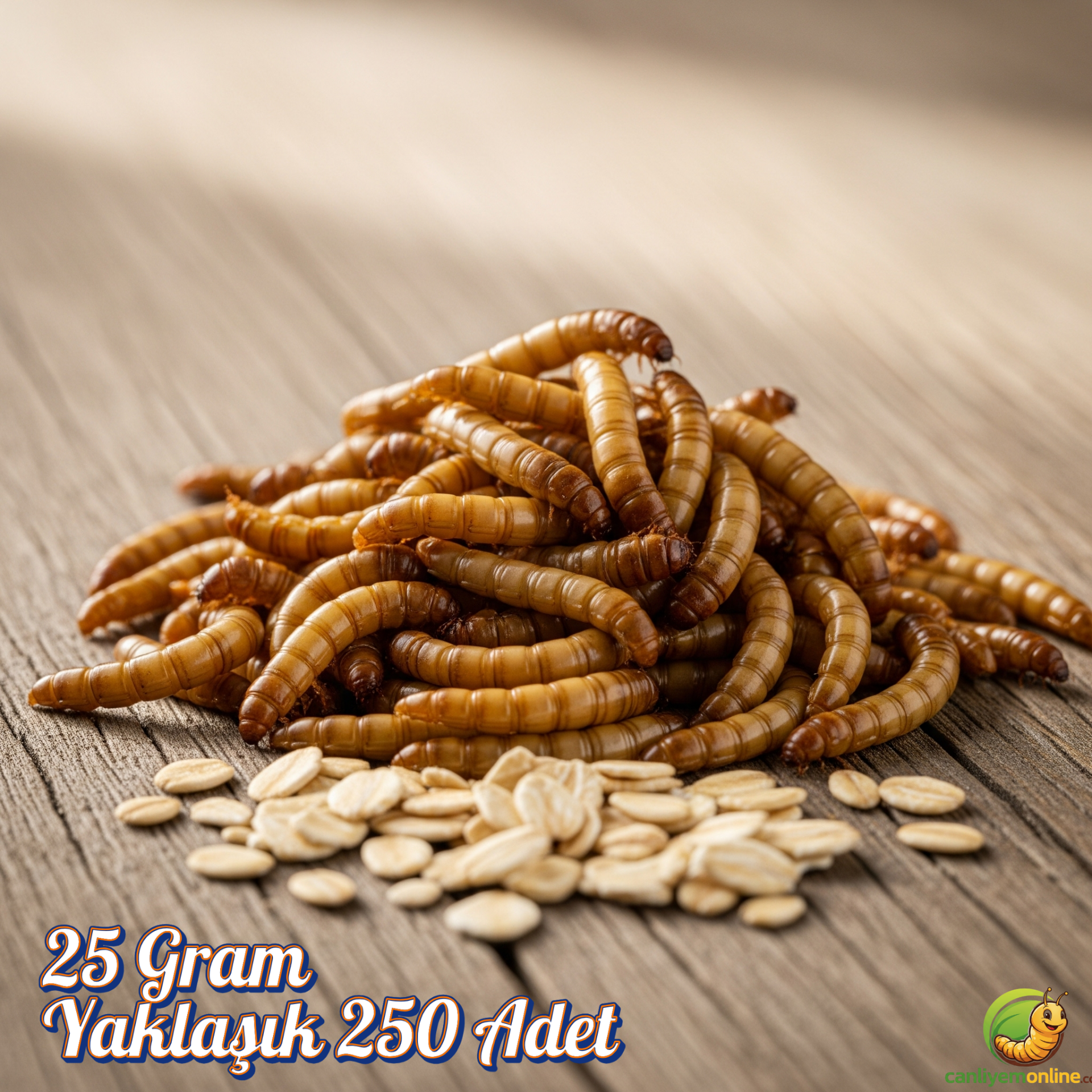 Un Kurdu (Tenebrio Molitor) – Canlı Yem |  25 Gr Yaklaşık 250 Ad.