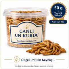 Un Kurdu (Tenebrio Molitor) – Canlı Yem |  50 Gr Yaklaşık 500 Ad.