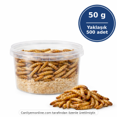 Un Kurdu (Tenebrio Molitor) – Canlı Yem |  50 Gr Yaklaşık 500 Ad.