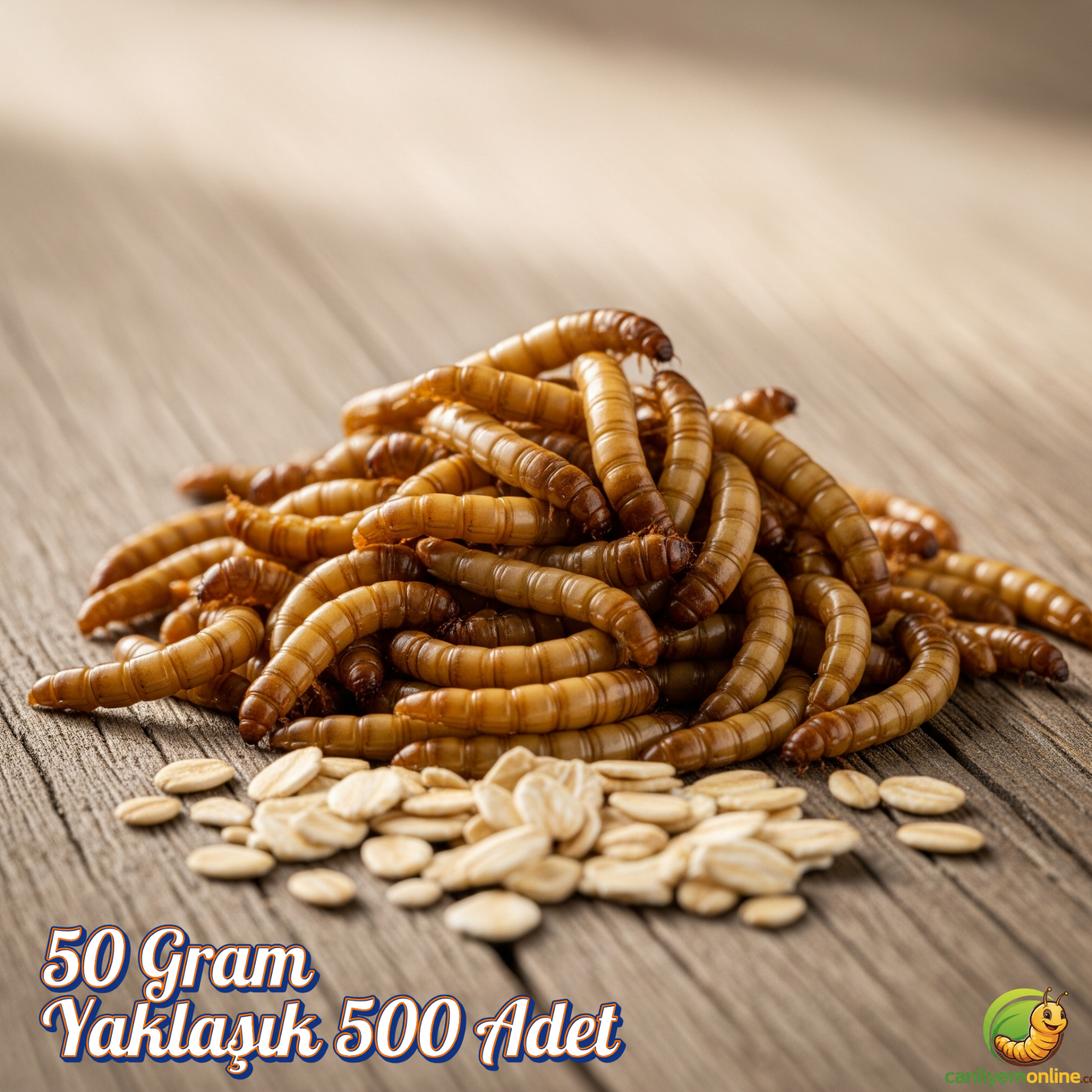 Un Kurdu (Tenebrio Molitor) – Canlı Yem |  50 Gr Yaklaşık 500 Ad.