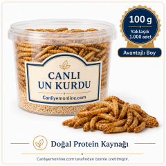Un Kurdu (Tenebrio Molitor) – Canlı Yem |  100 Gr Yaklaşık 1000 Ad.