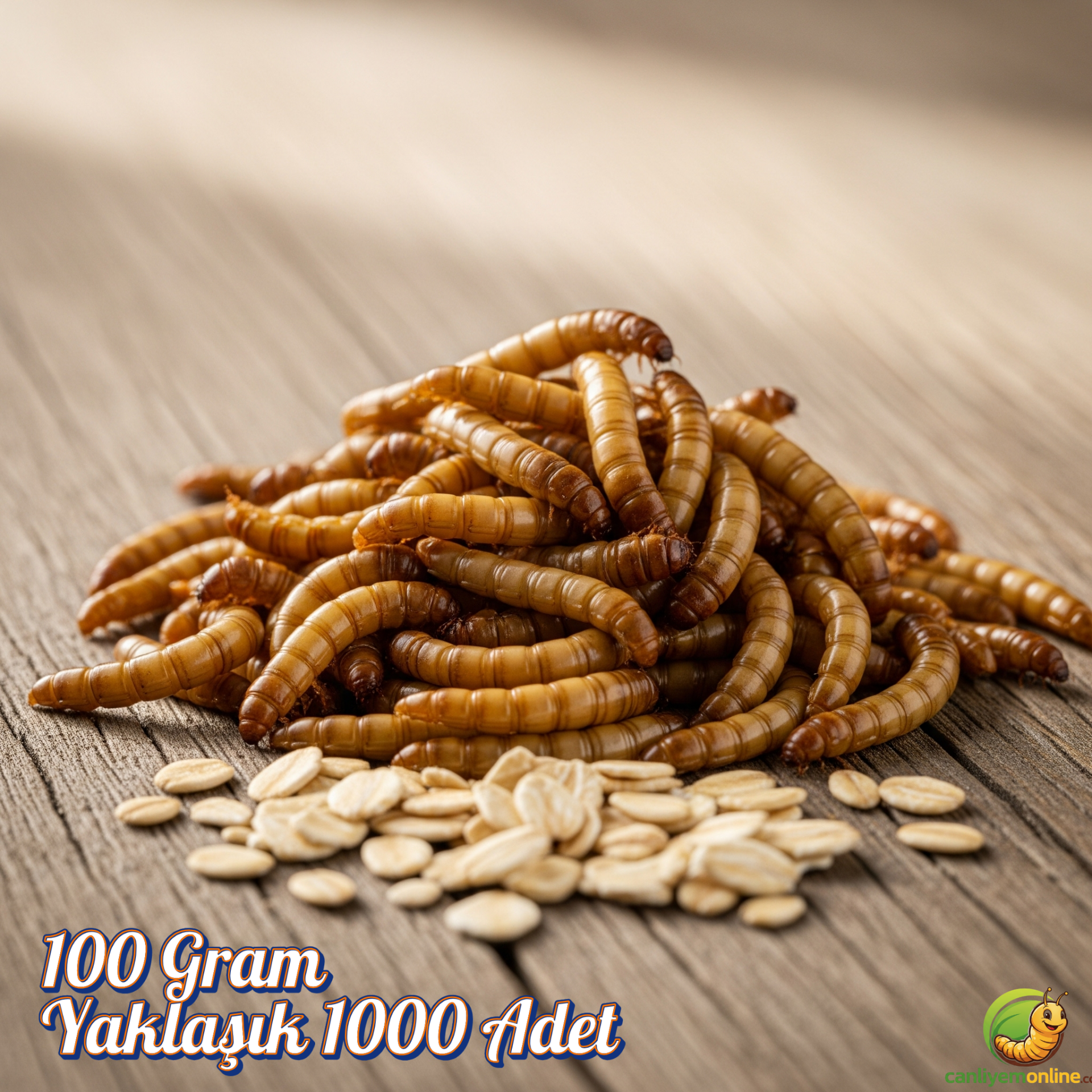 Un Kurdu (Tenebrio Molitor) – Canlı Yem |  100 Gr Yaklaşık 1000 Ad.