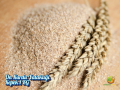 Un Kurdu Yataklığı - Kepek 1 KG