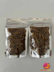 Kurutulmuş Un Kurdu 2-3 cm boy (Net:10 gr.) Yaklaşık 250 Ad.