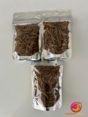 Kurutulmuş Un Kurdu 2-3 cm boy (Net:10 gr.) Yaklaşık 250 Ad.