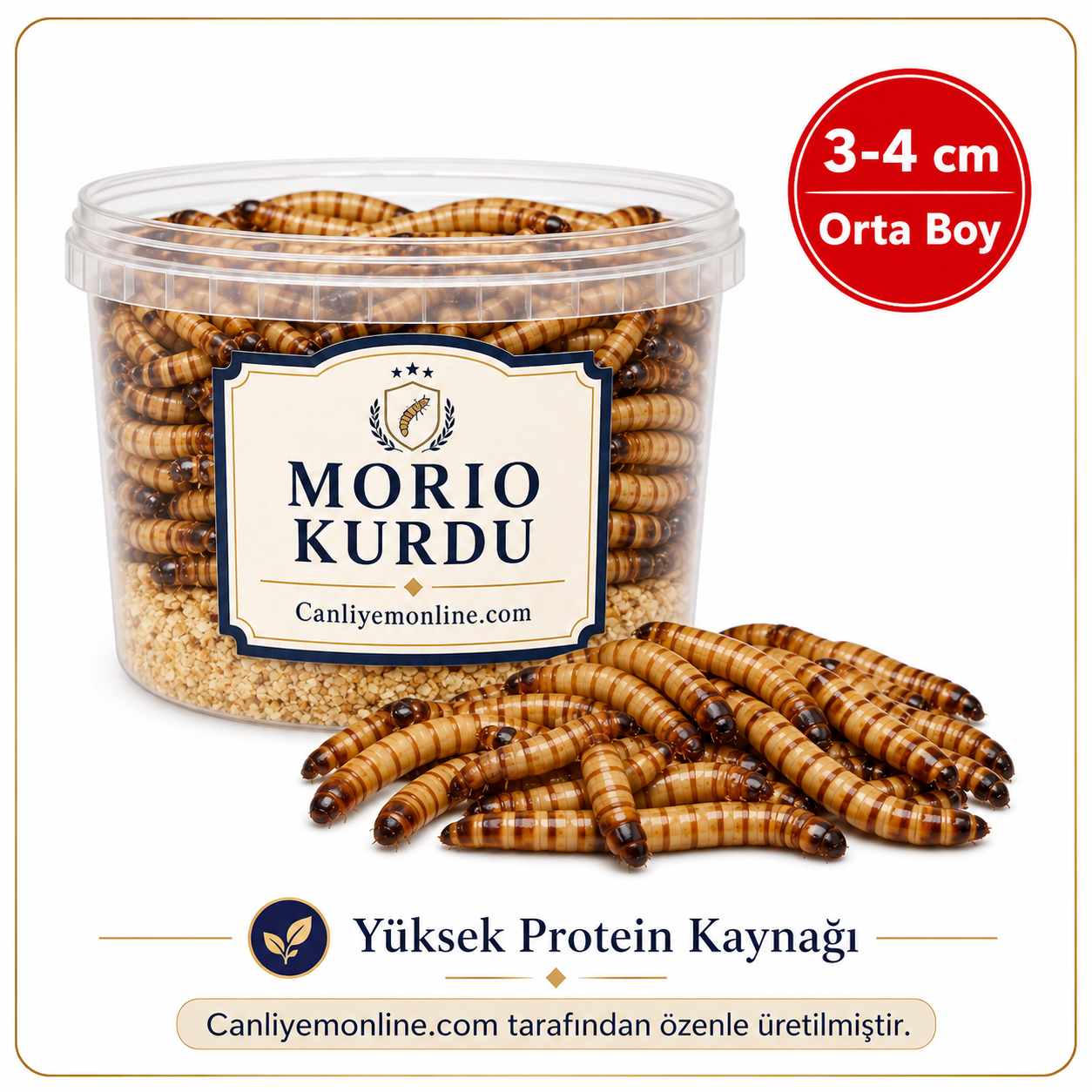 Morio Kurdu (Zophobas Morio) Adet 3-4 Cm. (Orta Boy)