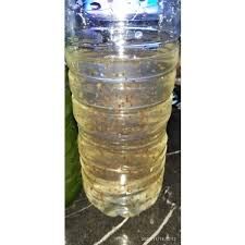 Su Piresi (Daphnia) 0.5 Lt