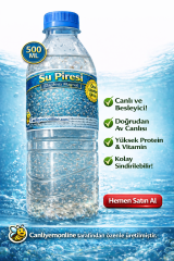 Su Piresi (Daphnia Magna) 0.5 Lt. + Yeşil Su 0,5 Lt.