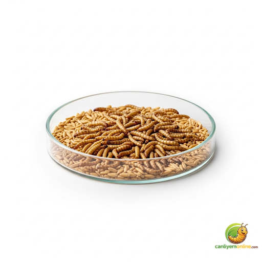 Mikro Unkurdu CANLI 1-1,5 cm boy 100 Adet