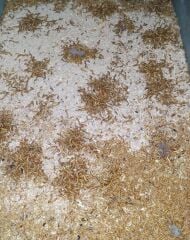 Un Kurdu İçin Özel Su Jeli | Sağlıklı ve Kokusuz Çözüm | Toz Halinde 1000 Gr.