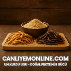 Un Kurdu Tozu (Un) – Doğal Protein Takviyesi | 1000 Gram