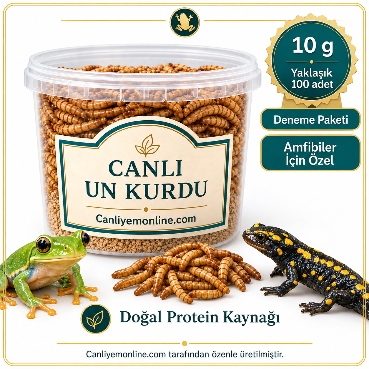 KOÇLAR Amfibiler İçin Canlı Yem Un Kurdu 10 Gr - Yaklaşık 100 Ad.