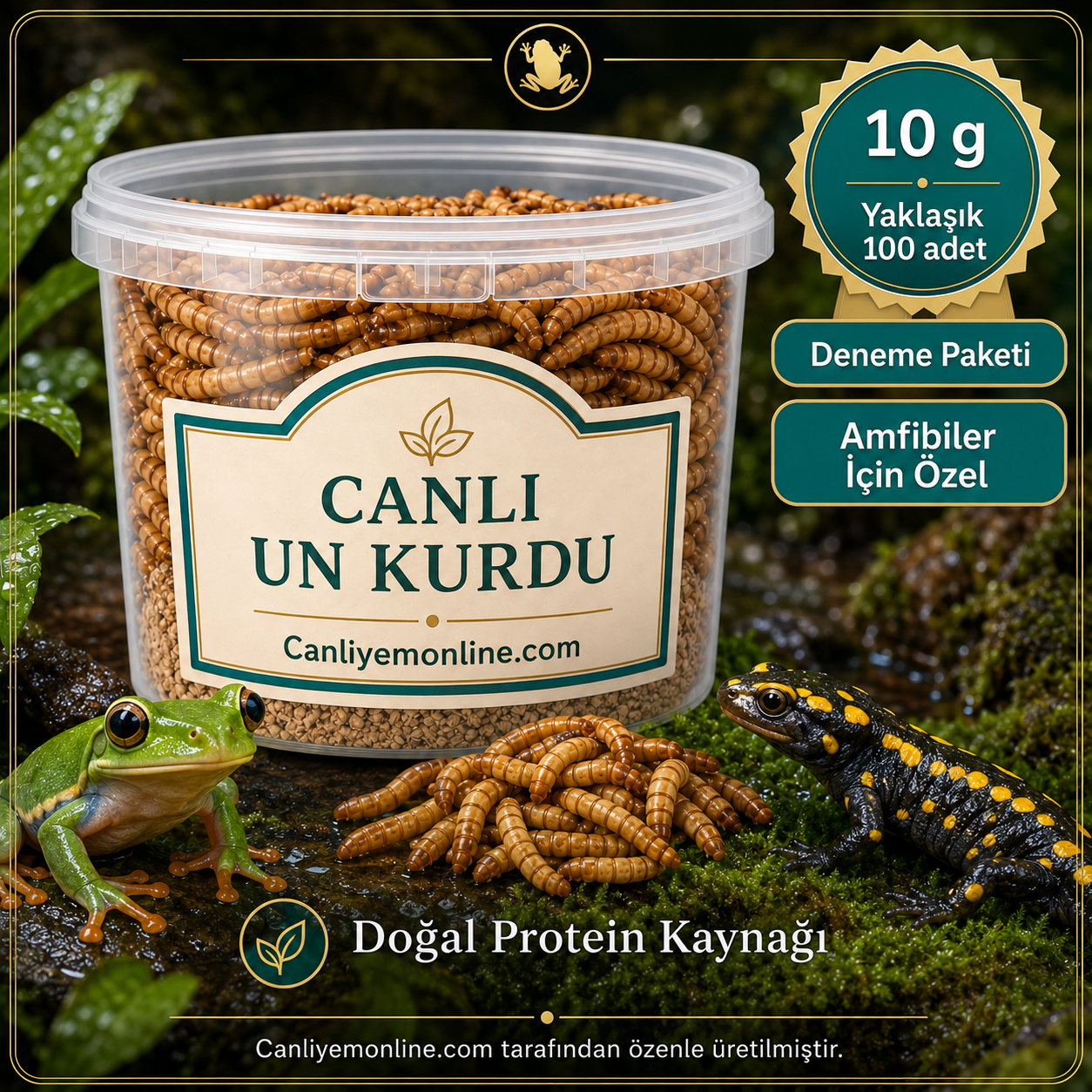 KOÇLAR Canlı Yem | Un Kurdu | Amfibiler İçin | 10 Gr Yaklaşık 100 Ad.
