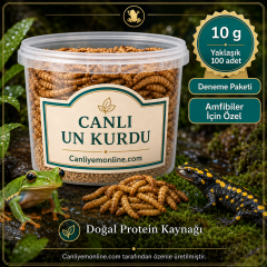 KOÇLAR Canlı Yem | Un Kurdu | Amfibiler İçin | 10 Gr Yaklaşık 100 Ad.