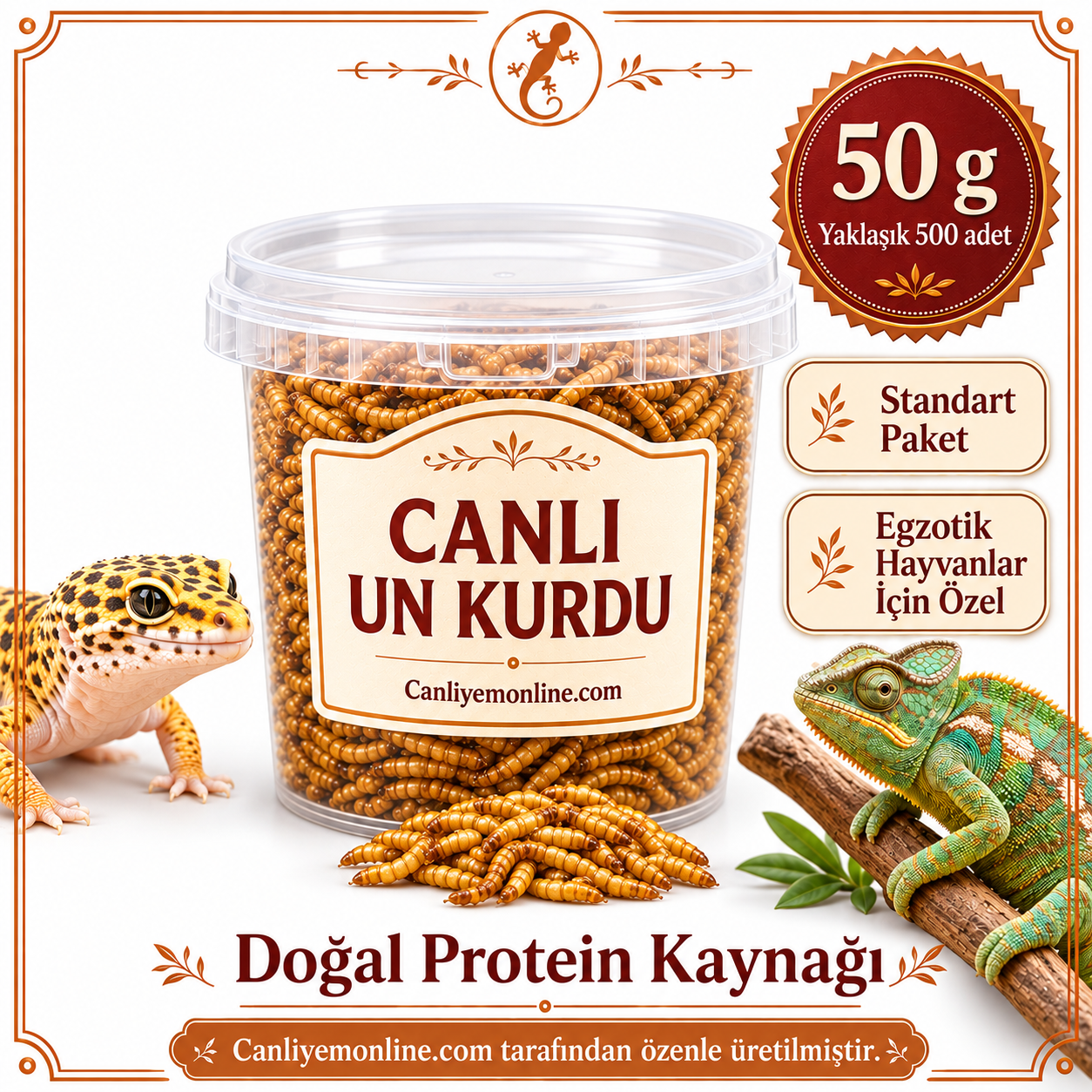 KOÇLAR Egzotik Hayvanlar İçin Canlı Yem Un Kurdu 50 Gr - Yaklaşık 500 Ad