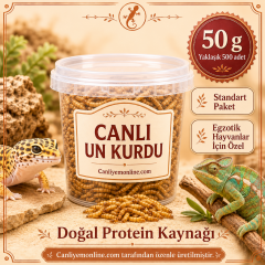 KOÇLAR Canlı Yem | Egzotik Hayvanlar İçin | Un Kurdu | 50 Gr Yaklaşık 500 Ad.