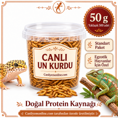 KOÇLAR Egzotik Hayvanlar İçin Canlı Yem Un Kurdu 50 Gr - Yaklaşık 500 Ad