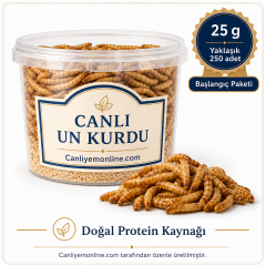 Un Kurdu (Tenebrio Molitor) – Canlı Yem | 25 Gr Yaklaşık 250 Ad.