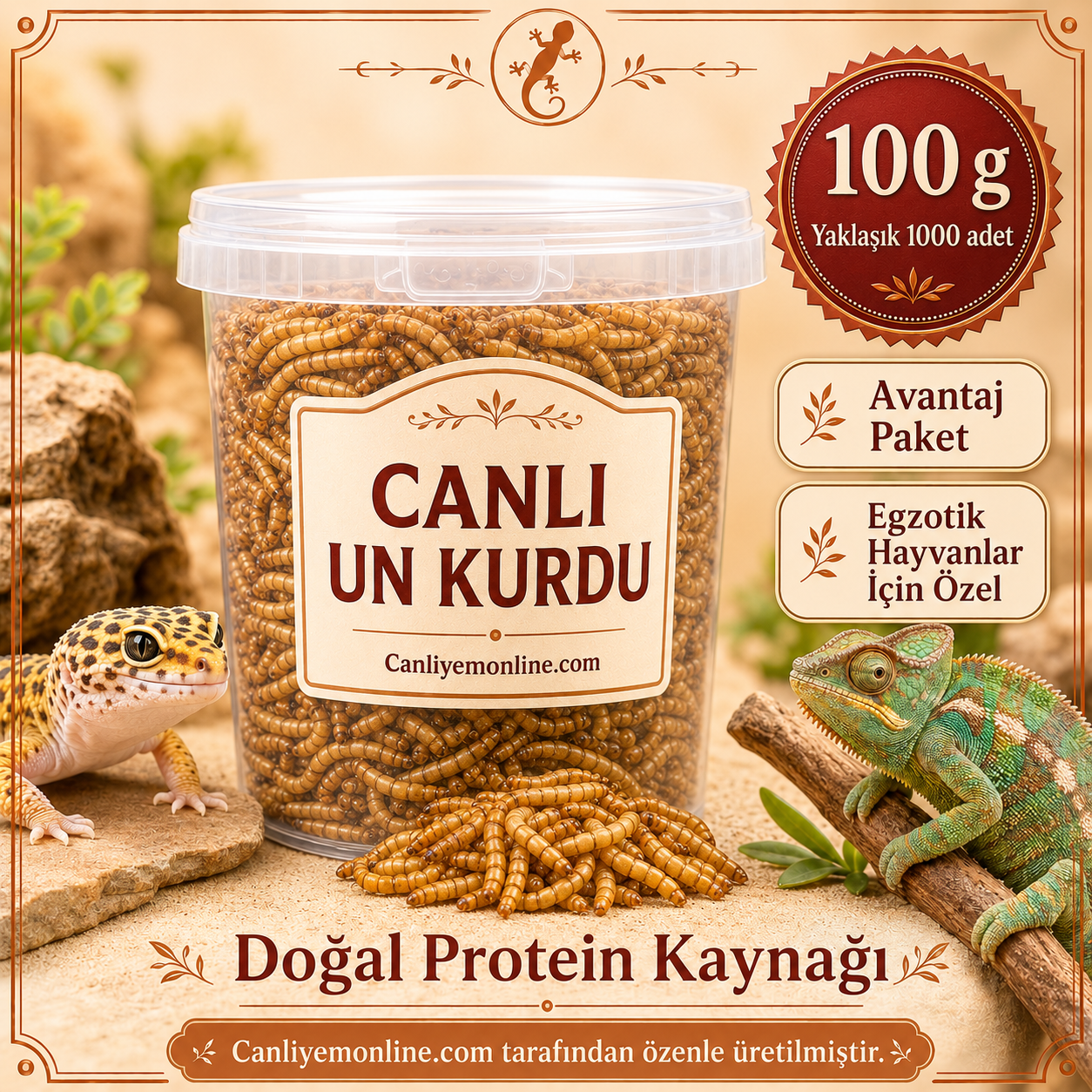 KOÇLAR Canlı Yem | Egzotik Hayvanlar İçin | Un Kurdu | 100 Gr Yaklaşık 1000 Ad.