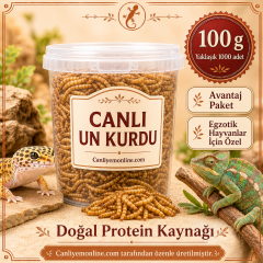 KOÇLAR Canlı Yem | Egzotik Hayvanlar İçin | Un Kurdu | 100 Gr Yaklaşık 1000 Ad.