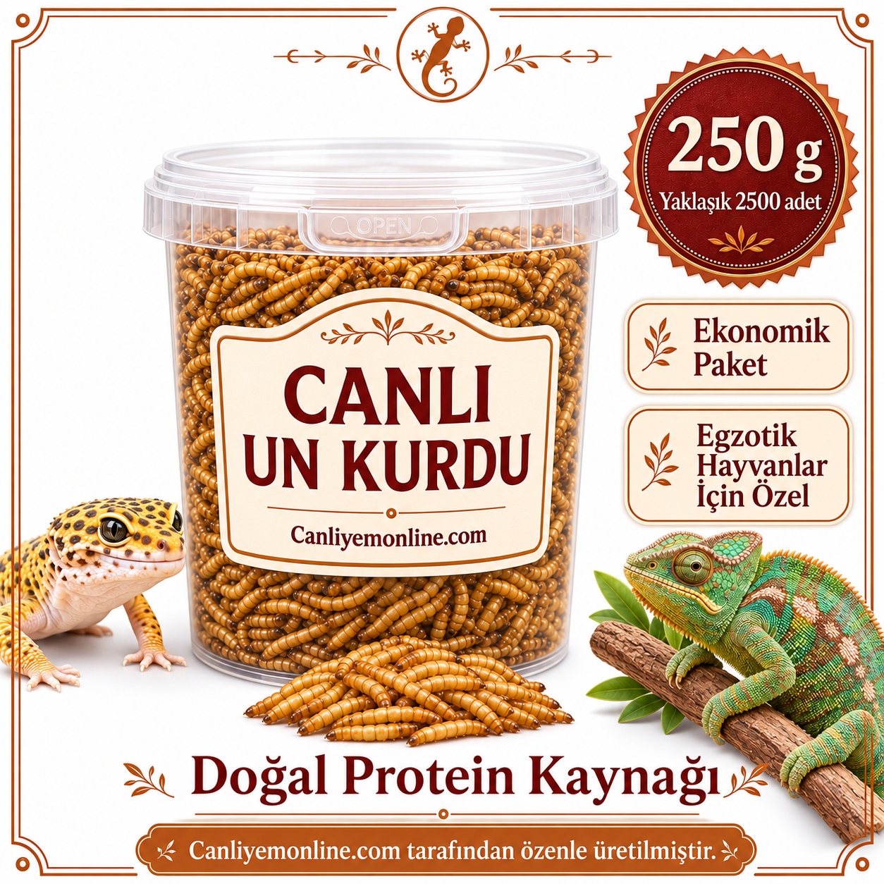 KOÇLAR Egzotik Hayvanlar İçin Canlı Yem Un Kurdu 250 Gr - Yaklaşık 2500 Ad.