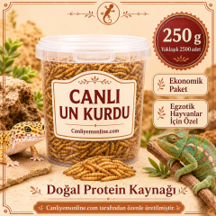 KOÇLAR Canlı Yem | Egzotik Hayvanlar İçin | Un Kurdu | 250 Gr Yaklaşık 2500 Ad.