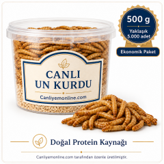 Un Kurdu (Tenebrio Molitor) – Canlı Yem | 500 Gr Yaklaşık 5000 Ad.