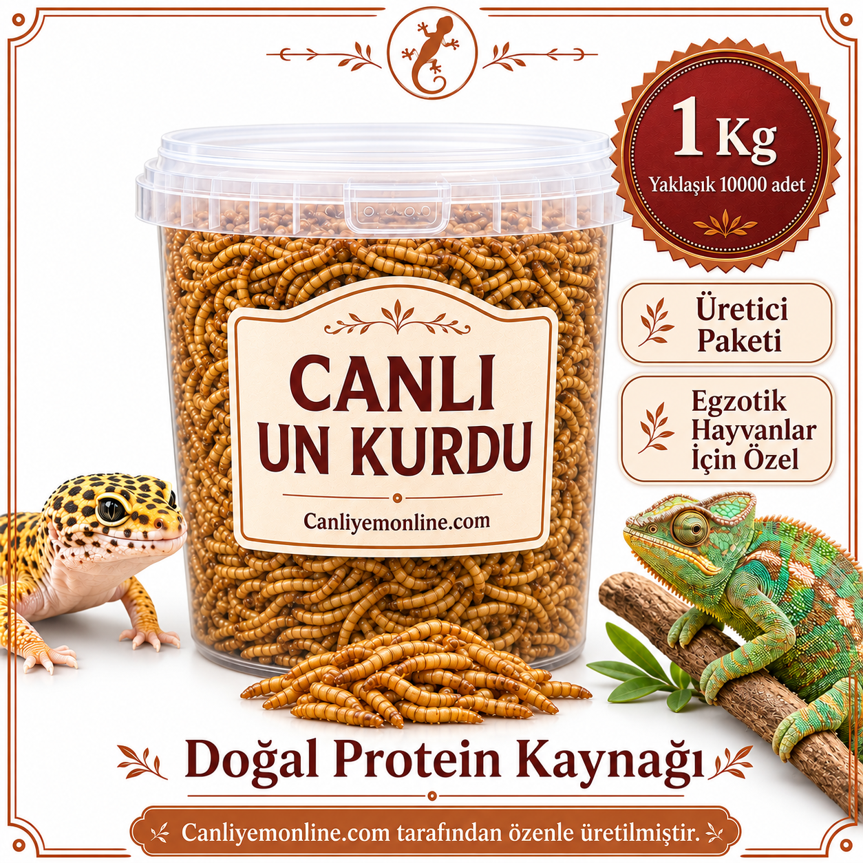 KOÇLAR Egzotik Hayvanlar İçin Canlı Yem Un Kurdu 1 KG - Yaklaşık 10000 Ad.