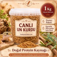 KOÇLAR Canlı Yem | Egzotik Hayvanlar İçin | Un Kurdu | 1 KG Yaklaşık 10000 Ad.