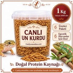 KOÇLAR Egzotik Hayvanlar İçin Canlı Yem Un Kurdu 1 KG - Yaklaşık 10000 Ad.