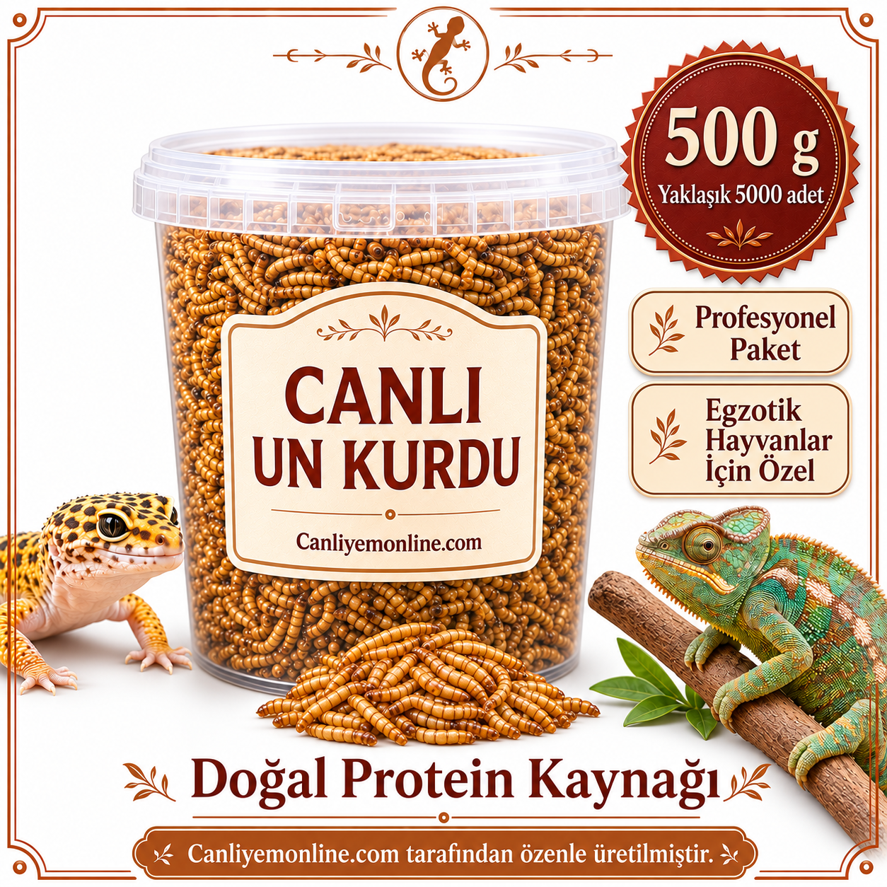 KOÇLAR Egzotik Hayvanlar İçin Canlı Yem Un Kurdu 500 Gr - Yaklaşık 5000 Ad