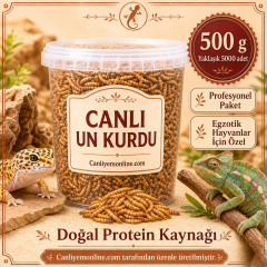 KOÇLAR Canlı Yem | Egzotik Hayvanlar İçin | Un Kurdu | 500 Gr Yaklaşık 5000 Ad.