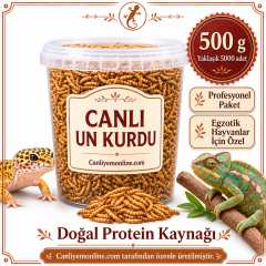 KOÇLAR Egzotik Hayvanlar İçin Canlı Yem Un Kurdu 500 Gr - Yaklaşık 5000 Ad