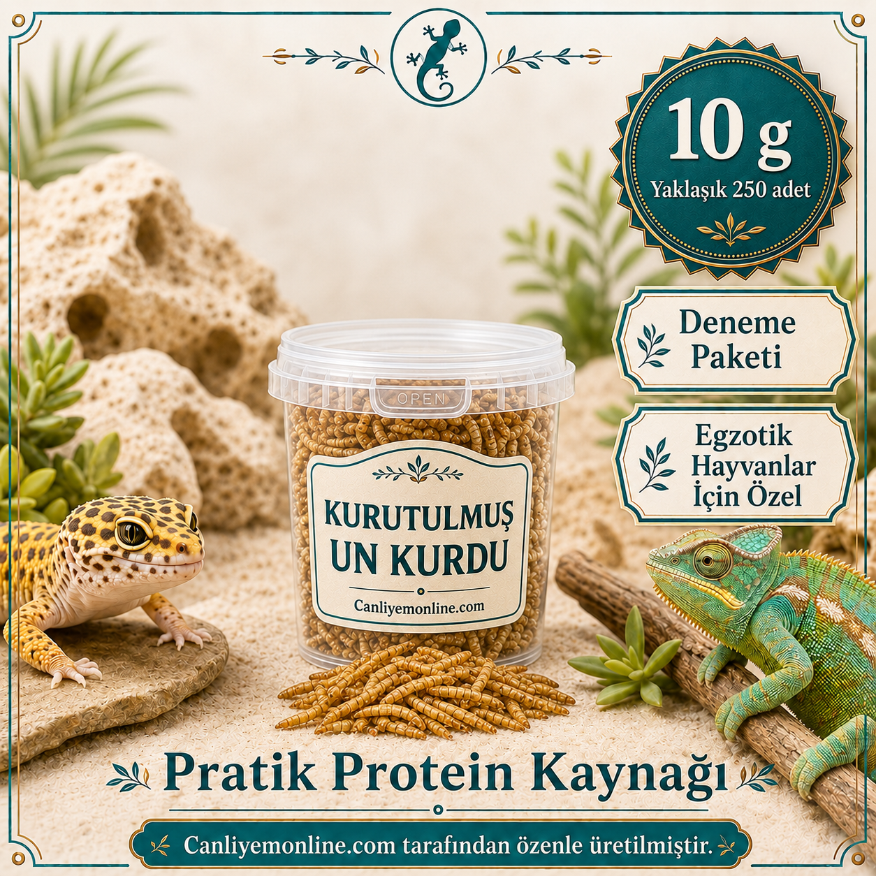 KOÇLAR Kurutulmuş Un Kurdu | Egzotik Hayvanlar İçin | 10 Gr Yaklaşık 250 Ad.