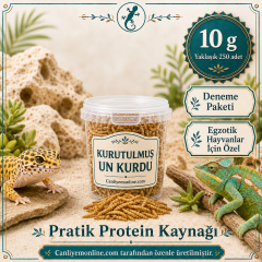 KOÇLAR Kurutulmuş Un Kurdu | Egzotik Hayvanlar İçin | 10 Gr Yaklaşık 250 Ad.