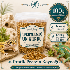 KOÇLAR Kurutulmuş Un Kurdu | Egzotik Hayvanlar İçin | 100 Gr Yaklaşık 2520 Ad.