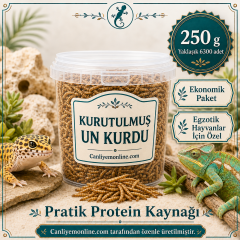 KOÇLAR Kurutulmuş Un Kurdu | Egzotik Hayvanlar İçin | 250 Gr Yaklaşık 6300 Ad.