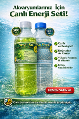 KOÇLAR Su Piresi (Daphnia Magna) 0.5 Lt. + Yeşil Su 0,5 Lt.