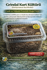 KOÇLAR Grindal Kurt Kültürü Balık Yemi