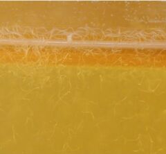 KOÇLAR Sirke Kurdu Kültürü Balık Yemi