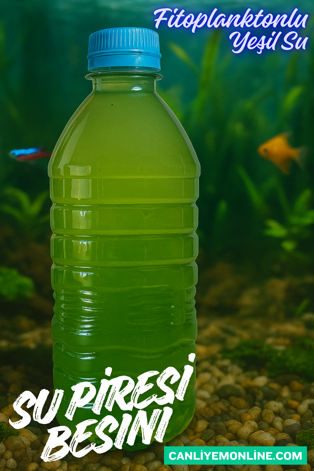 Fi̇toplanktonlu Yeşi̇l Su | Su Pi̇resi̇ Besi̇ni̇ | 500 Ml.