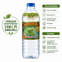 Salvinia Natans - Su Eğreltisi (25 Kök - 50 Yaprak)