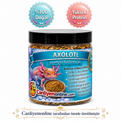 KOÇLAR Axolotl İçin Kurutulmuş Yüksek Proteinli Yem 100 ml