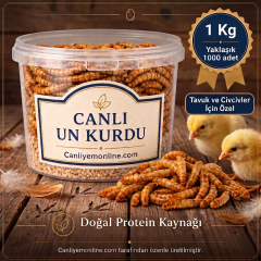 Un Kurdu (Tavuk ve Civciv Yemi) – Canlı Yem |  1 KG Yaklaşık 10000 Ad.