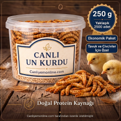 Un Kurdu (Tavuk ve Civciv Yemi) – Canlı Yem |  250 Gr Yaklaşık 2500 Ad.