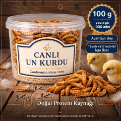 Un Kurdu (Tavuk ve Civciv Yemi) – Canlı Yem |  100 Gr Yaklaşık 1000 Ad.